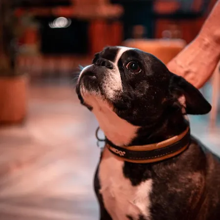 Ibis Styles Sur Centre Cathedrale 3* Boulogne-sur-Mer